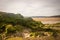 Sandy beach with low tide puddles and rocky foreground interest and sand patterns and texture