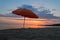 Sandy beach with one orange sunshade at sunset in Sithonia