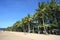 Sandy beach of Palm Cove, Cairns