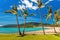 Sandy beach with palm trees, Airlie Beach, Whitsundays, Queensland Australia