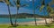 Sandy beach with palm trees, Airlie Beach, Whitsundays, Queensland Australia