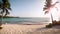 a sandy beach with palm trees and the ocean in the background, A beach lined with palm trees overlooking the serene ocean waters,