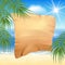 Sandy beach with palm trees and papyrus