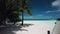 Sandy beach with palm trees and wooden path near azure ocean