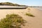 Sandy beach with plants near Portbail. Normandy France