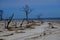 Sandy Beach on a remote Island