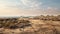 Sandy Beach And Rocky Shore: Vray Tracing With Orientalist Imagery