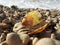 Sandy beach with sea pebbles and shells on a background of the sea wave. Summer vacation at sea. wave and shell on the pebble beac