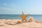Sandy beach with starfish, shell and coral near sea on sunny summer day