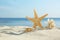 Sandy beach with starfish, shell and coral near sea on sunny summer day