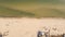 Sandy beach with sunbathing tourists, view from drone.