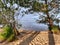 Sandy beach in sunrise blue water on Lake of Biscarrosse in landes france