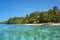 Sandy beach with tropical vegetation Caribbean sea