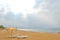 Sandy beach with umbrellas, deck chairs