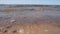 Sandy beach washed by the wave of the sea