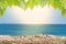 Sandy beaches with logs and foliage, tropical bokeh beach backgrounds , summer vacations and travel ideas