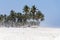 Sandy beautiful beach dusty sky and palm oman arabic sea ocean salalah