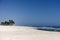Sandy beautiful beach sky and palm with waves in oman arabic sea ocean salalah