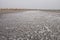 Sandy bottom of a dried reservoir with cracks and salt crystals