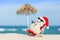 Sandy Christmas Snowman is enjoying the holidays