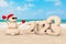 Sandy Christmas Snowman at Sunny Beach with 2023 New Year Sign. 3d Rendering