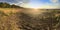 Sandy coast of the Gulf of Finland with a low grass and edge of the wood on a sunset