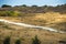 Sandy coast of Turkey, seascape sunny, plant