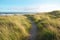 sandy coastal trail among grassy dunes