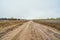 Sandy country road between fields in spring