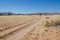 Sandy desert track leading through arid landscape towards rocky hills, Namib Desert, Angola