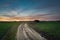 Sandy dirt road through green fields, colorful clouds on the sky after sunset