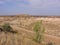 Sandy dirt road in the middle of the desert on Safari tourism