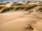 sandy dunes of the baltic coast in the netherlands, europe