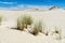 Sandy dunes overgrown by clumps of grass  and blue sky with white clouds in sunny summer day. Lacka dune near Leba.