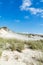 Sandy dunes overgrown by clumps of grass  and blue sky with white clouds in sunny summer day.  Lacka dune in Slowinski National