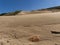 Sandy dunes on the Robberg Peninsula