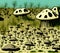 Sandy Field with Mushroom Buildings, Generative AI Illustration