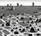 Sandy Field with Mushroom Buildings, Generative AI Illustration