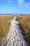 Sandy foot path through the beach grass.