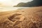 Sandy Footprint At Sunrise