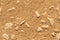 Sandy gravel road. Close-up. Abstract natural background