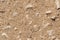 Sandy gravel road. Close-up. Abstract natural background