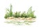Sandy ground with green grass background. Watercolor illustration. Natural sandy ground with small rocks with green lush