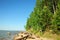 Sandy high shore of a large forest lake with fallen logs in the water