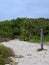 Sandy Hiking Trail Leading Into Green Thicket