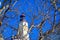 Sandy Hook Lighthouse through Trees in New Jersey