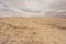 Sandy landscape of Great Sandhills Ecological Reserve