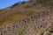 Sandy mountain slope with rocks