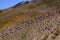 Sandy mountain slope with rocks.