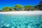 Sandy Palombaggia beach with pine trees and azure clear water, C